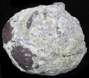 Crystal Filled Dugway Geode #33173-2